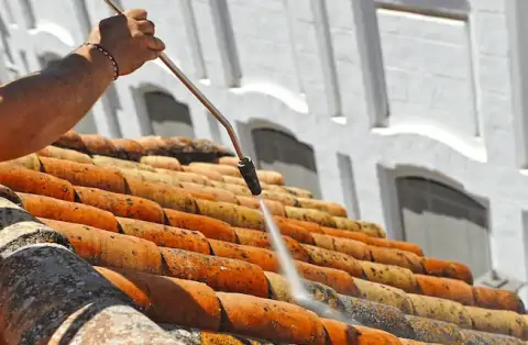 Nettoyage de toitures - Burdignin